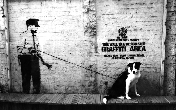 Banksy - Fraud or Genius