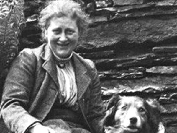 Lecture Subjects in the middle years